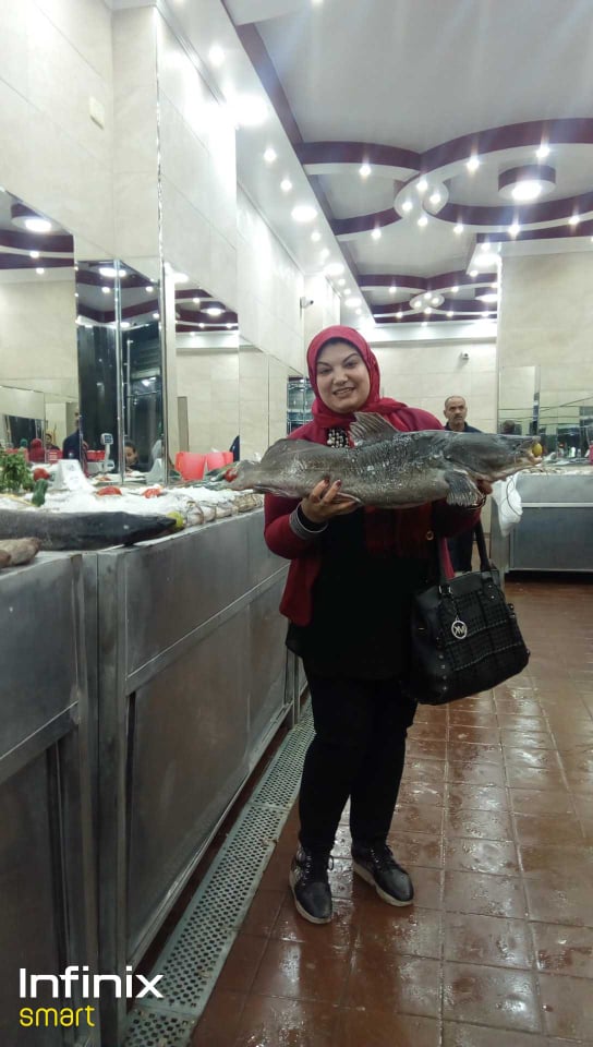 شركة كندة تفتتح أول منفذ لبيع جميع انواع الأسماك البحرية والنيليه الطازجه بمحافظة سوهاج