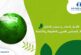 المجلس العربي للطفولة والتنمية يطلق حملة الكترونية جديدة بعنوان أزمة المناخ وحقوق الطفل